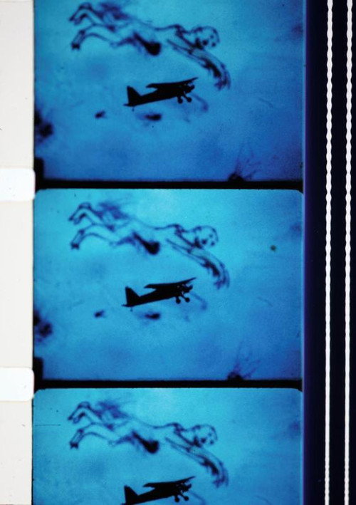 Fluke poster