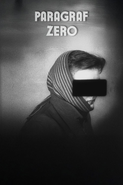 Article Zero poster