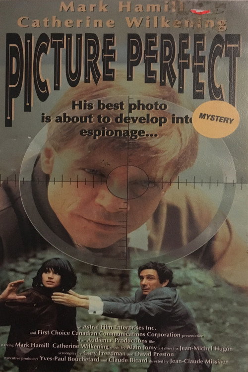 Picture Perfect poster