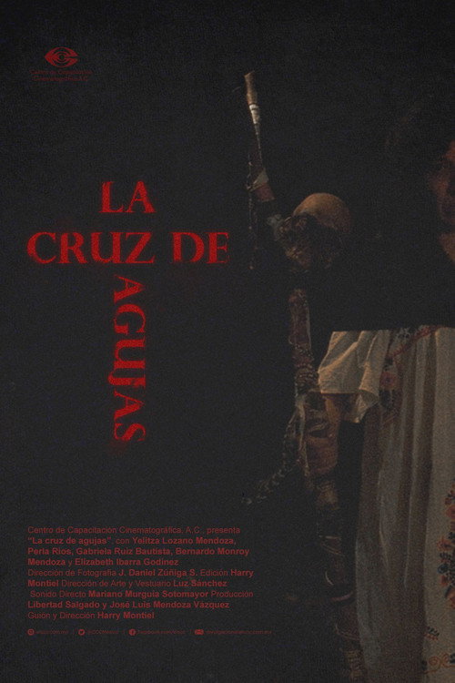 The Needle Cross poster