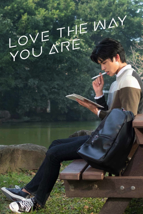 Love The Way You Are poster
