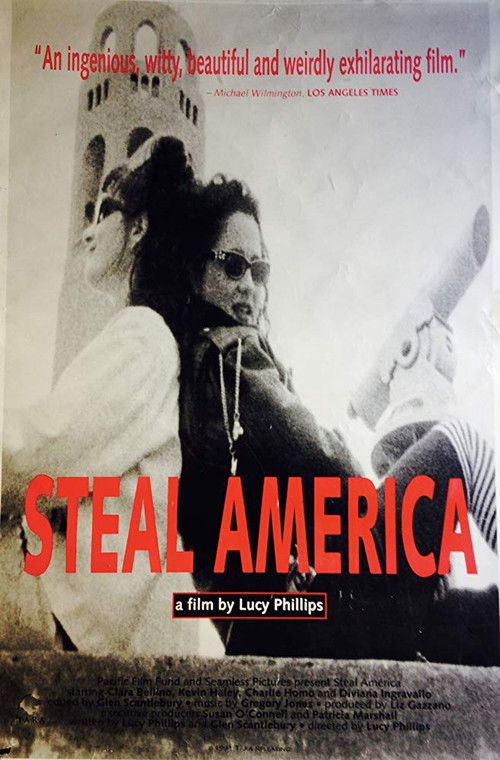 Steal America poster