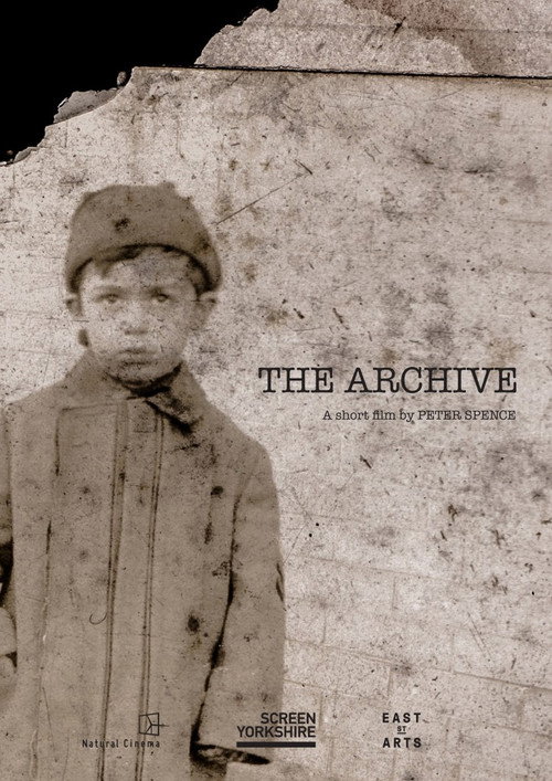 The Archive poster
