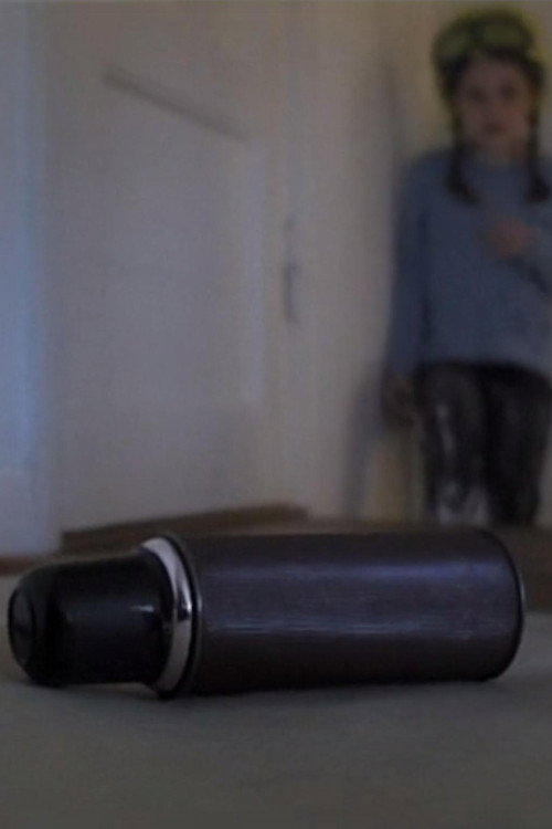 The Thermos poster