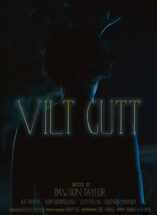 Vilt Gutt poster