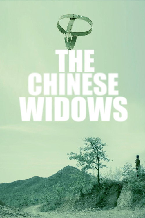 中国式寡妇 poster