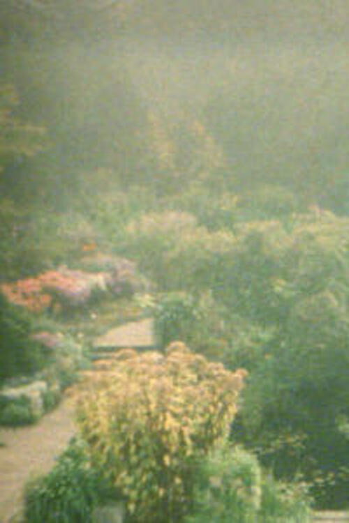 In the Garden poster