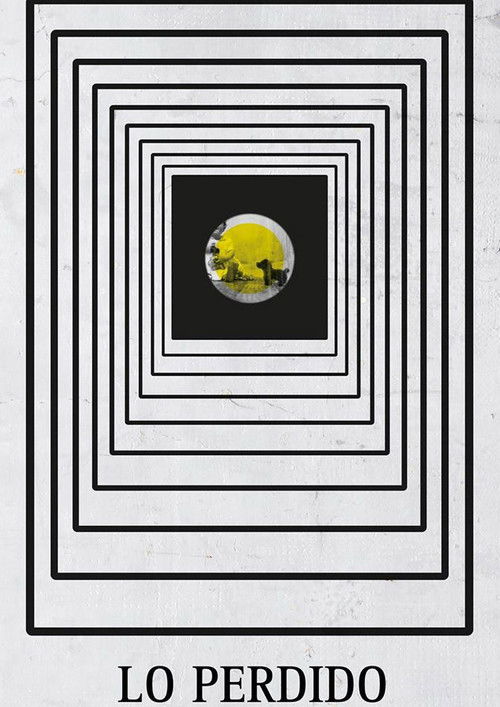What Has Been Lost poster
