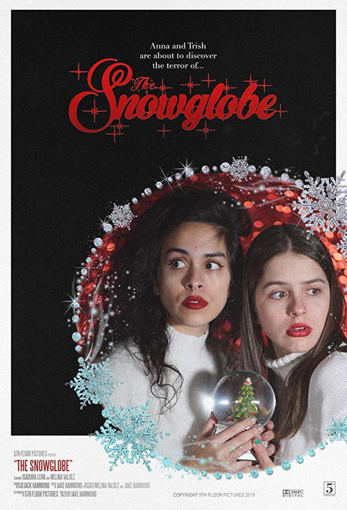The Snowglobe poster