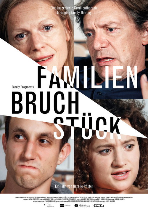 Family Fragments poster