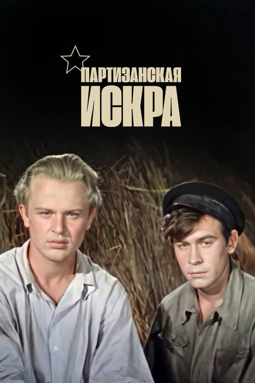 Partisan Spark poster