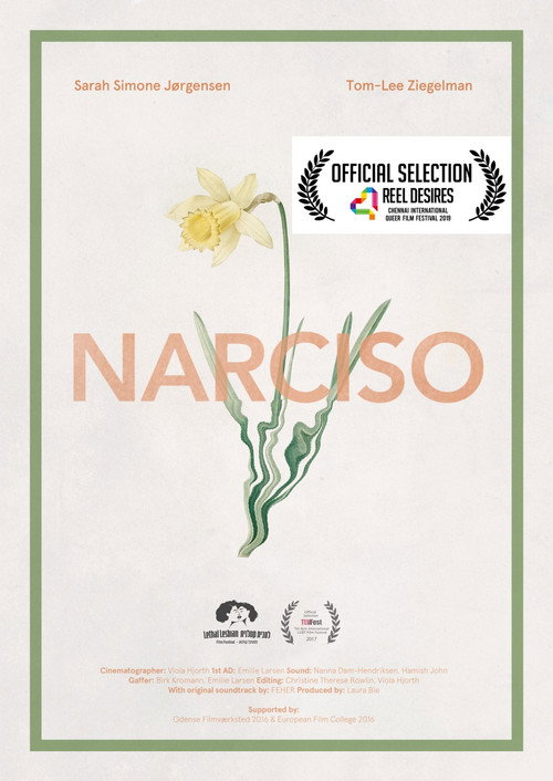 Narciso poster