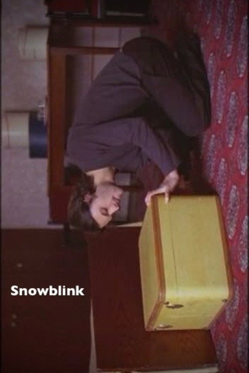 Snowblink poster