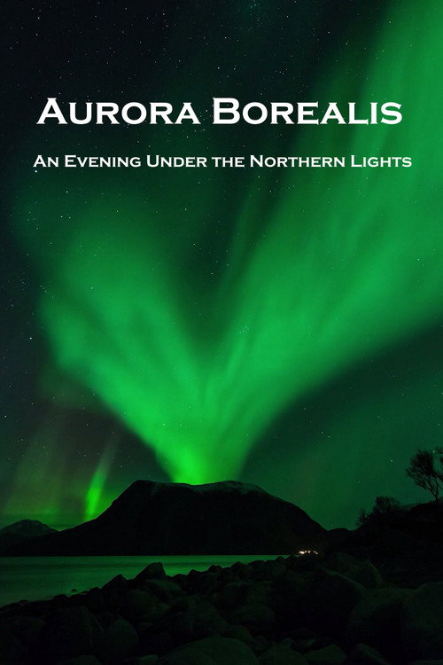Aurora Borealis: An Evening under the Northern Lights poster
