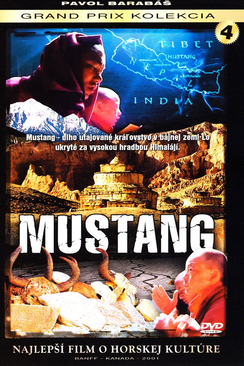 Mustang poster