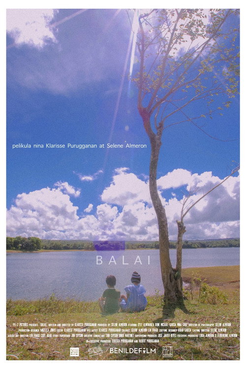 Home poster
