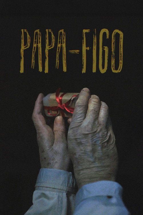 Papa-Figo poster