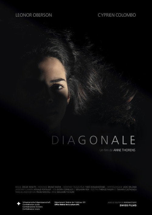 Diagonale poster