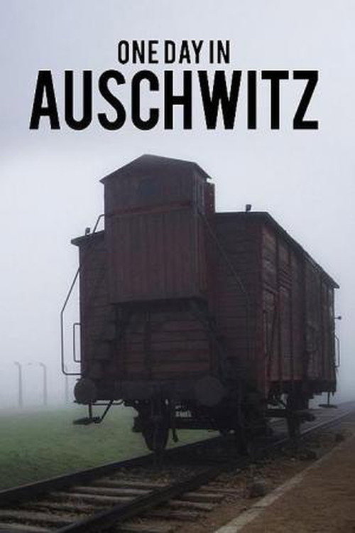Auschwitz - One Day poster