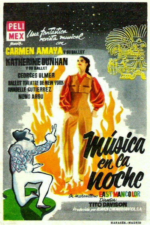 Música en la noche poster