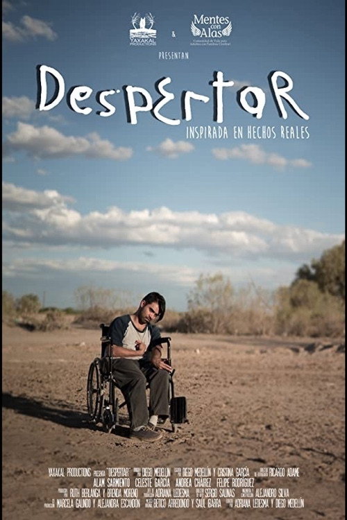 Despertar poster