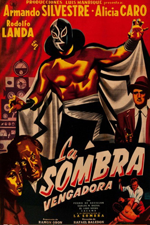 La sombra vengadora poster