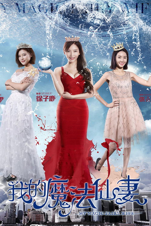My Magic Fairy Wife poster