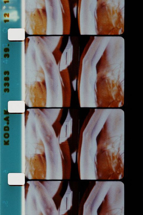 Log Abstract 1986 poster