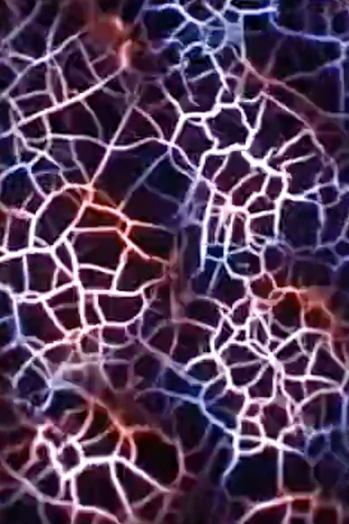 Compound Eye poster