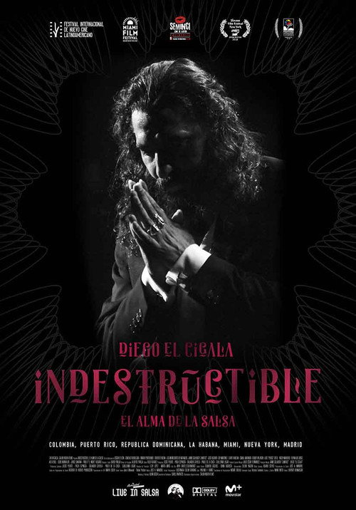 Indestructible: El alma de la salsa poster