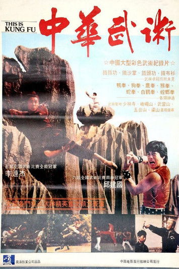 This Is Kung Fu poster