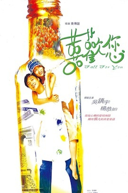 Fall For You poster