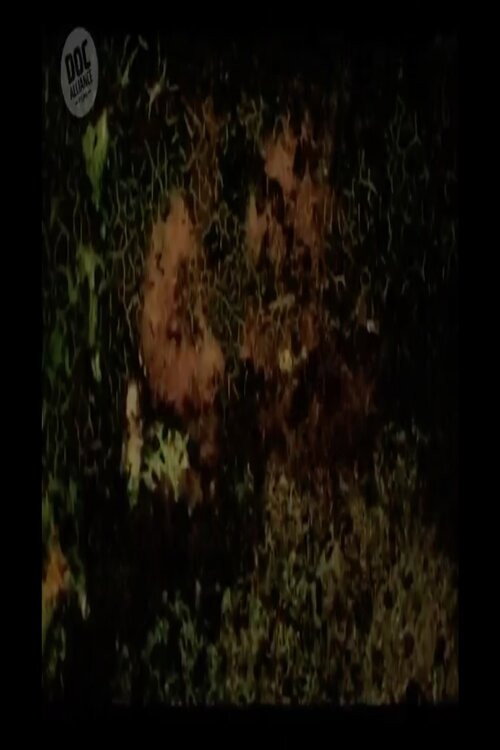 The Lovers poster