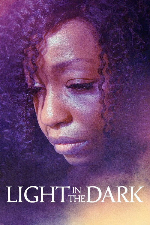 Light in the Dark poster
