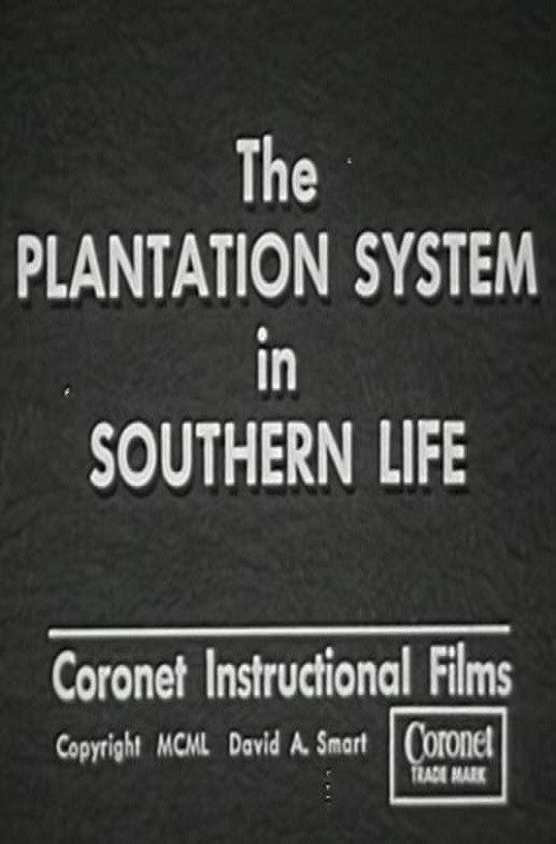 The Plantation System in Southern Life poster