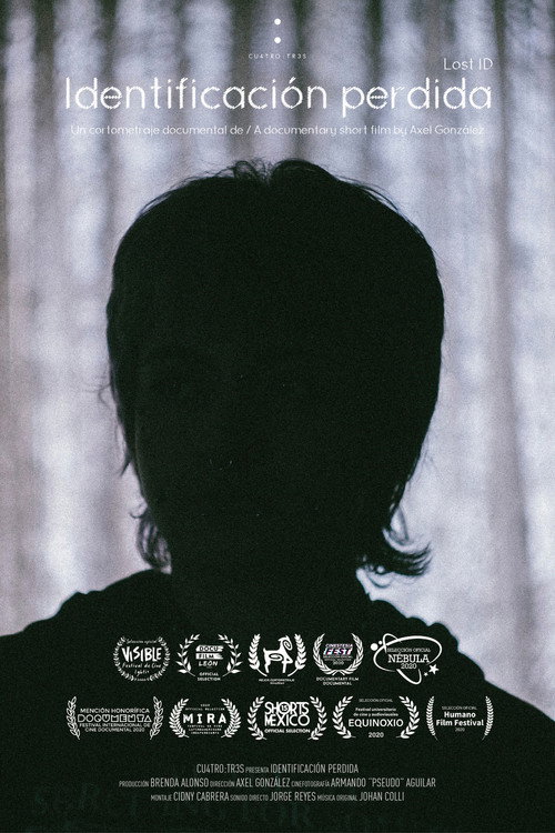 Lost ID poster
