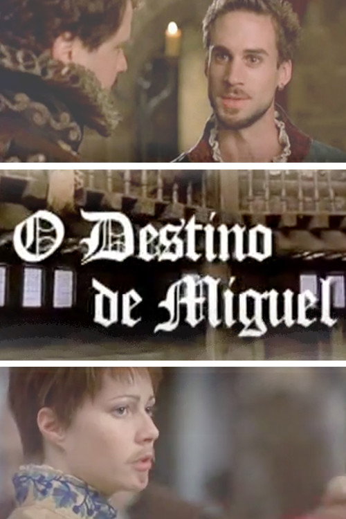 Miguel's Destiny poster