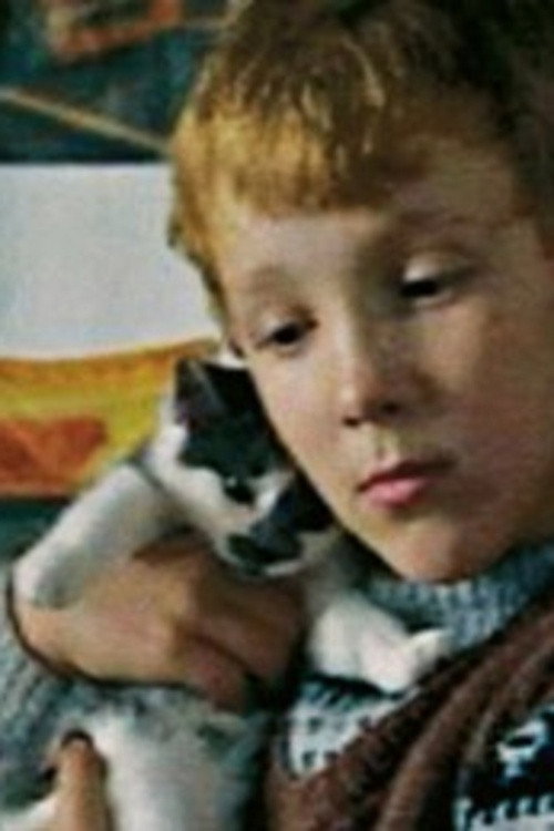 Lauges kat poster