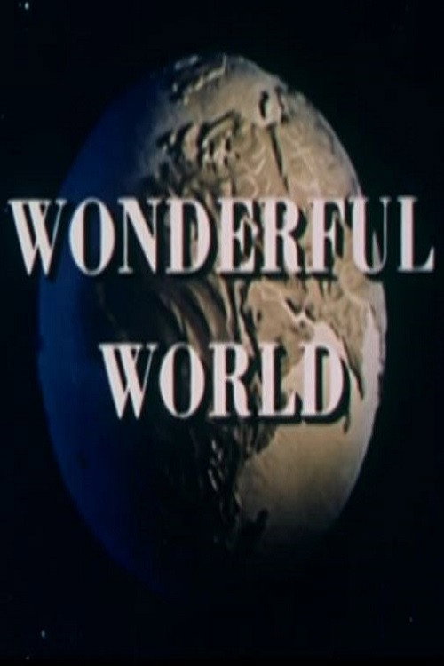 Wonderful World poster