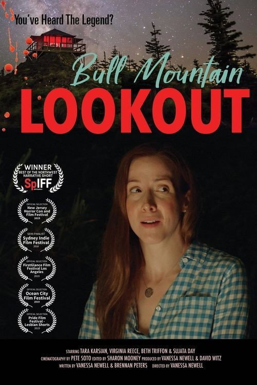 Bull Mountain Lookout poster