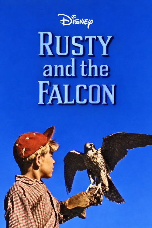 Rusty and the Falcon poster