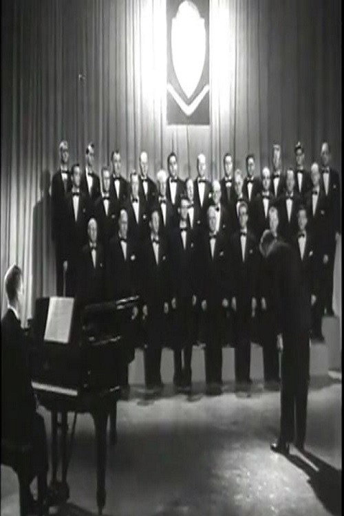 The Mullinaires poster