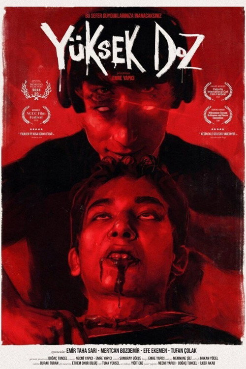 Overdose poster