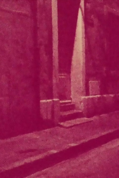The Night poster
