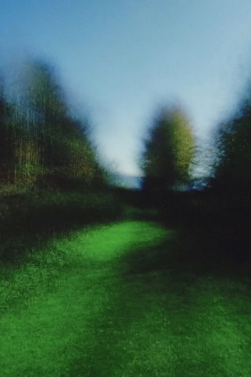 Brouillard #6 poster