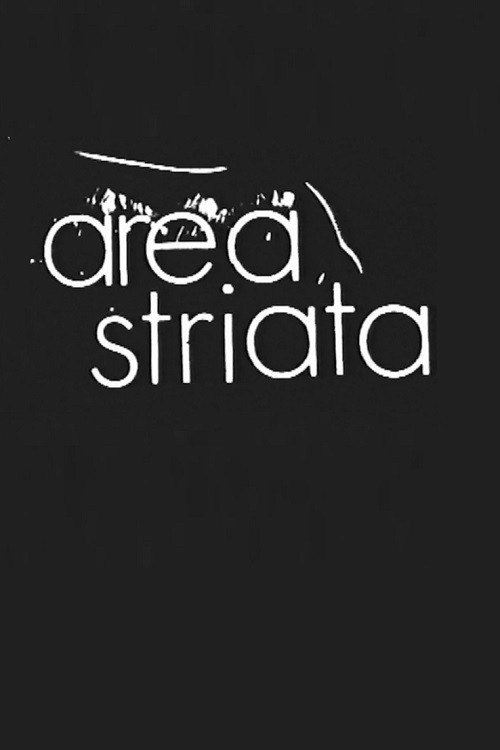 Area Striata poster