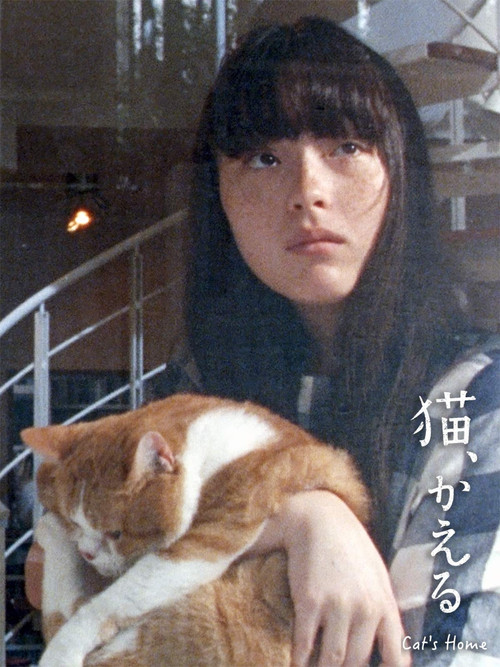 Cat's Home poster