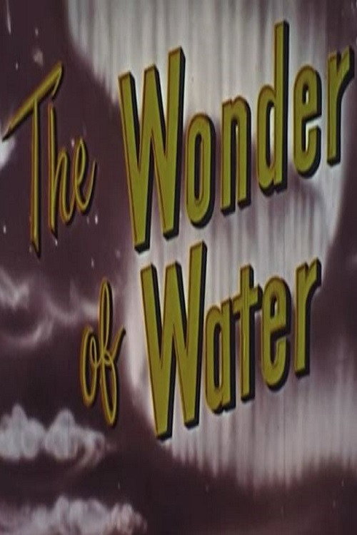 The Wonder Of Water poster