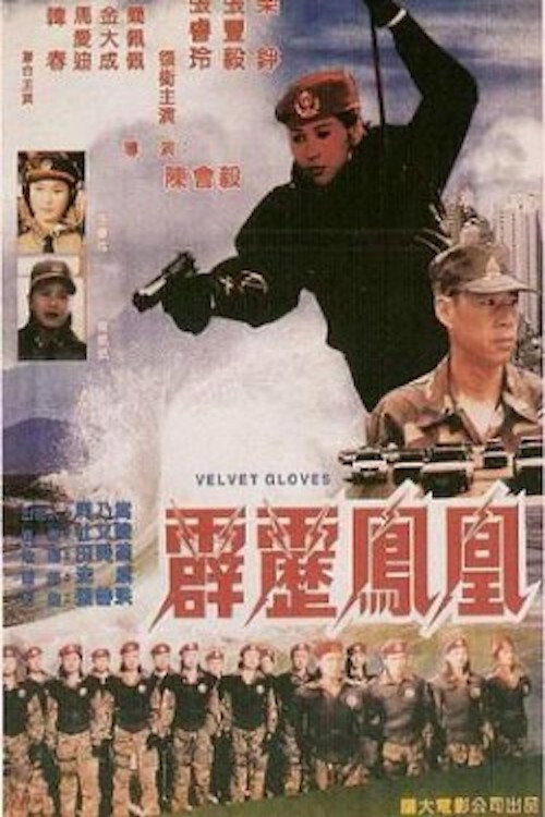 Velvet Gloves poster