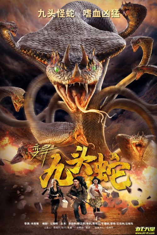 Variation Hydra poster